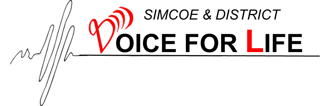 LETTERHEAD logo.jpg