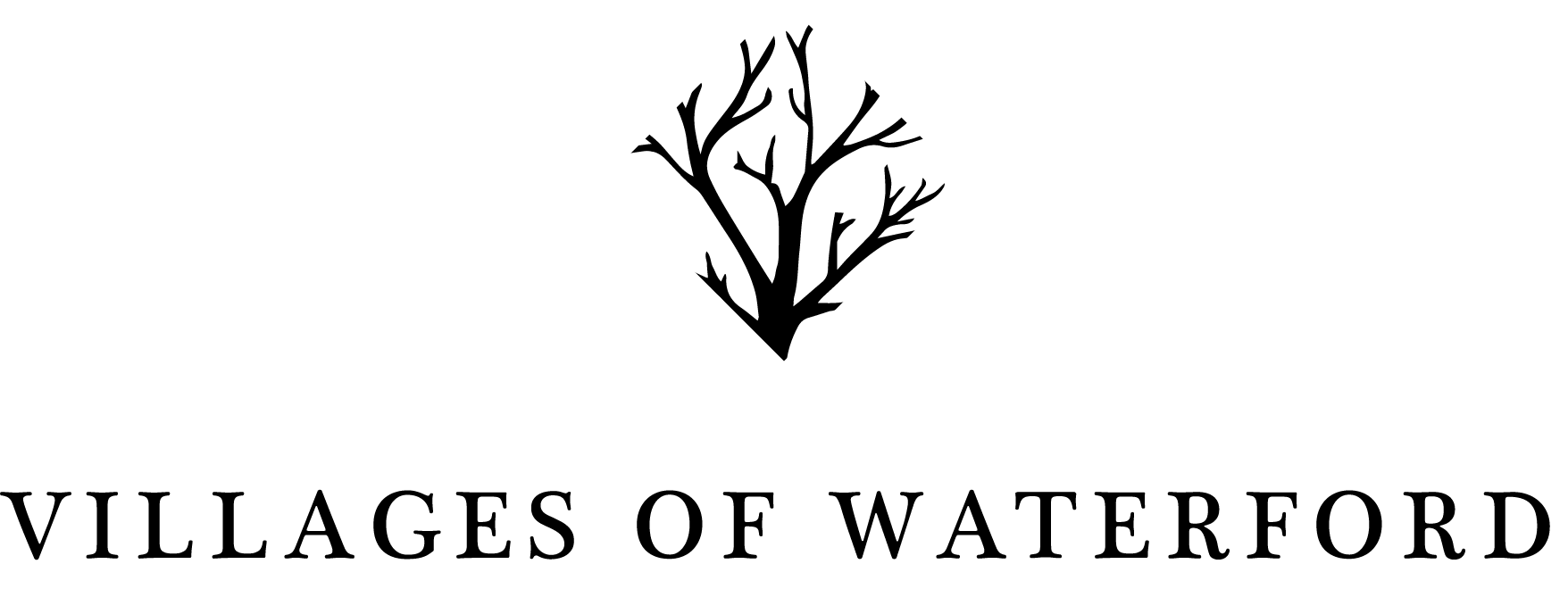 Asset 3@3x.png