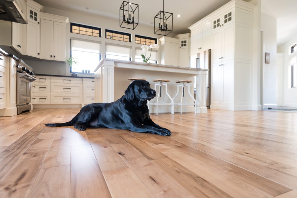 breezewood_HM_Reactive_Traditional_4in_Varros_Dec2017_highres_bennykitchen.jpg